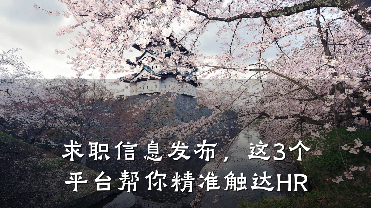 求职信息发布,这3个平台帮你精准触达HR