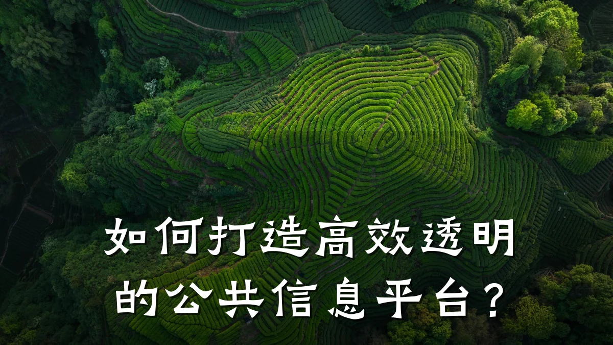 如何打造高效透明的公共信息平台?