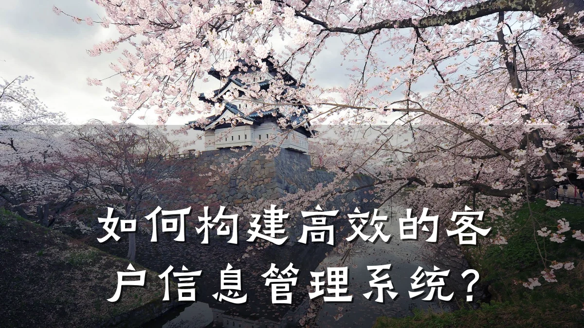 如何构建高效的客户信息管理系统？