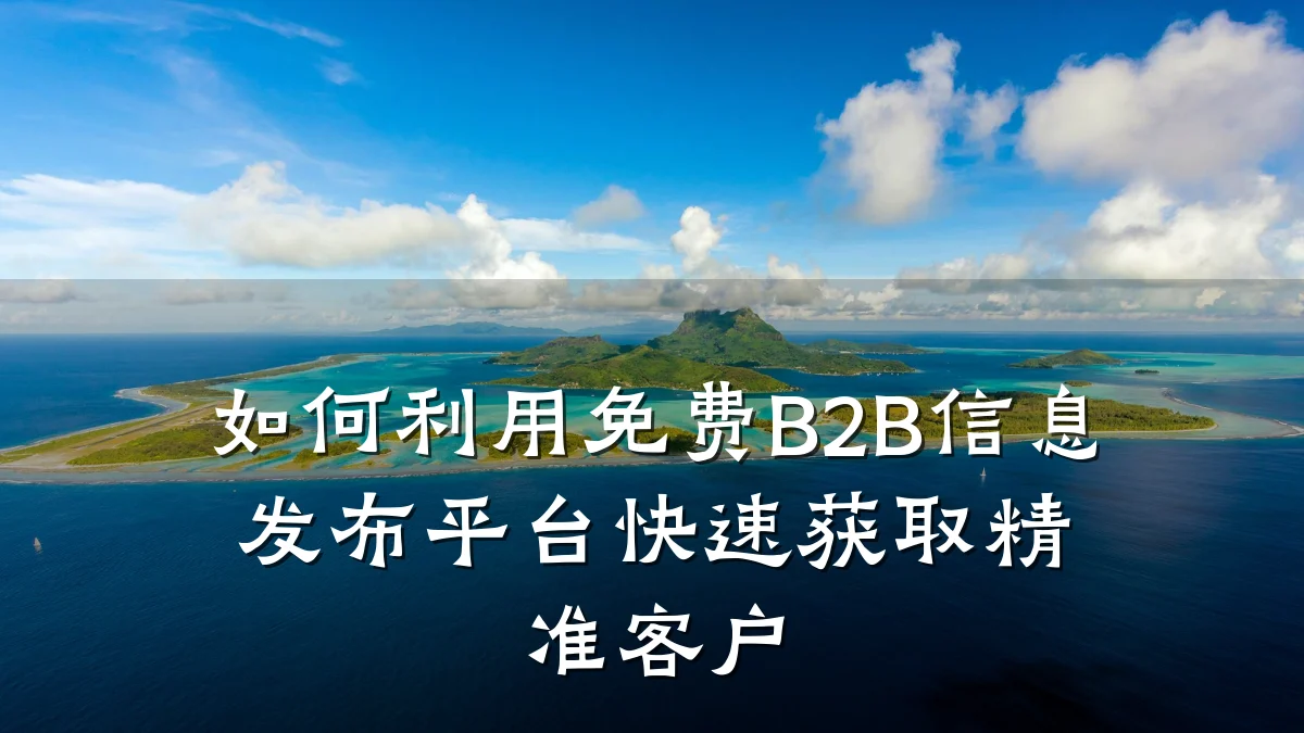 如何利用免费B2B信息发布平台快速获取精准客户
