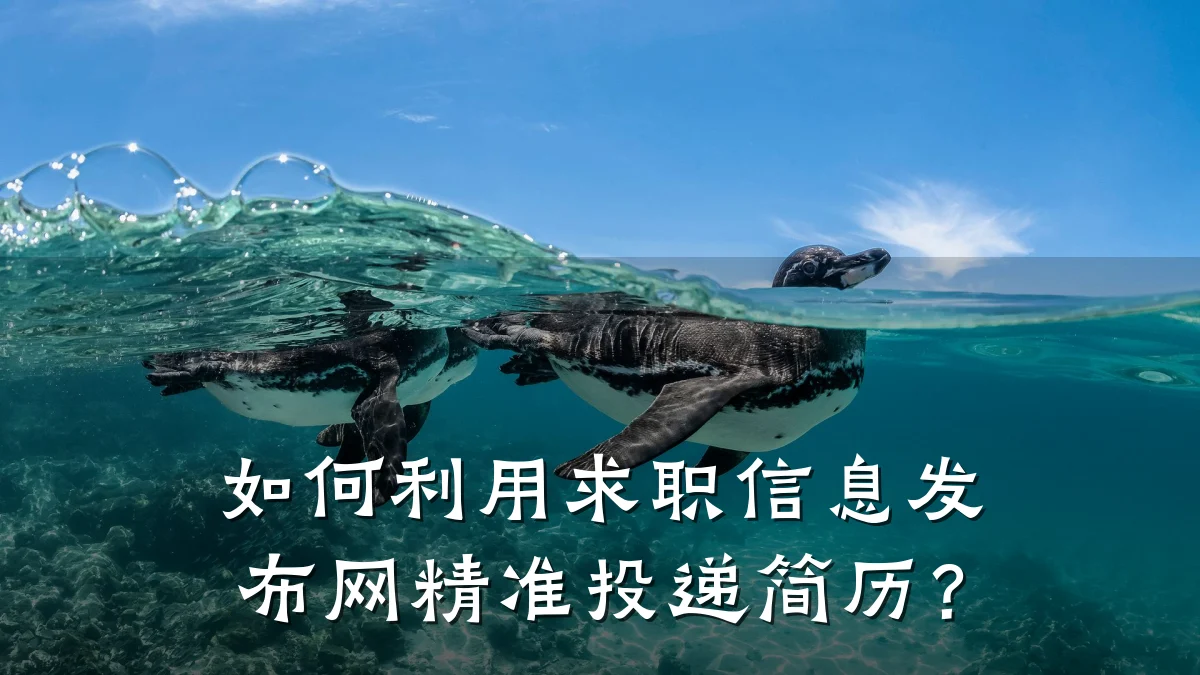 如何利用求职信息发布网精准投递简历？