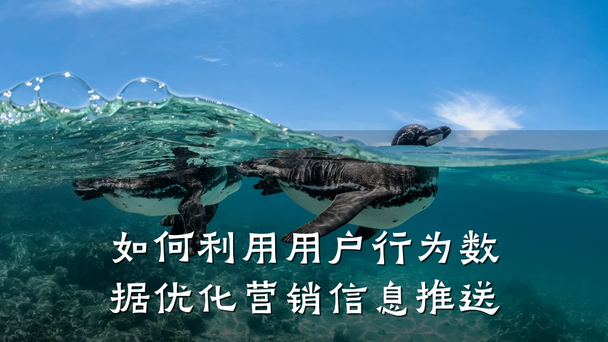 如何利用用户行为数据优化营销信息推送