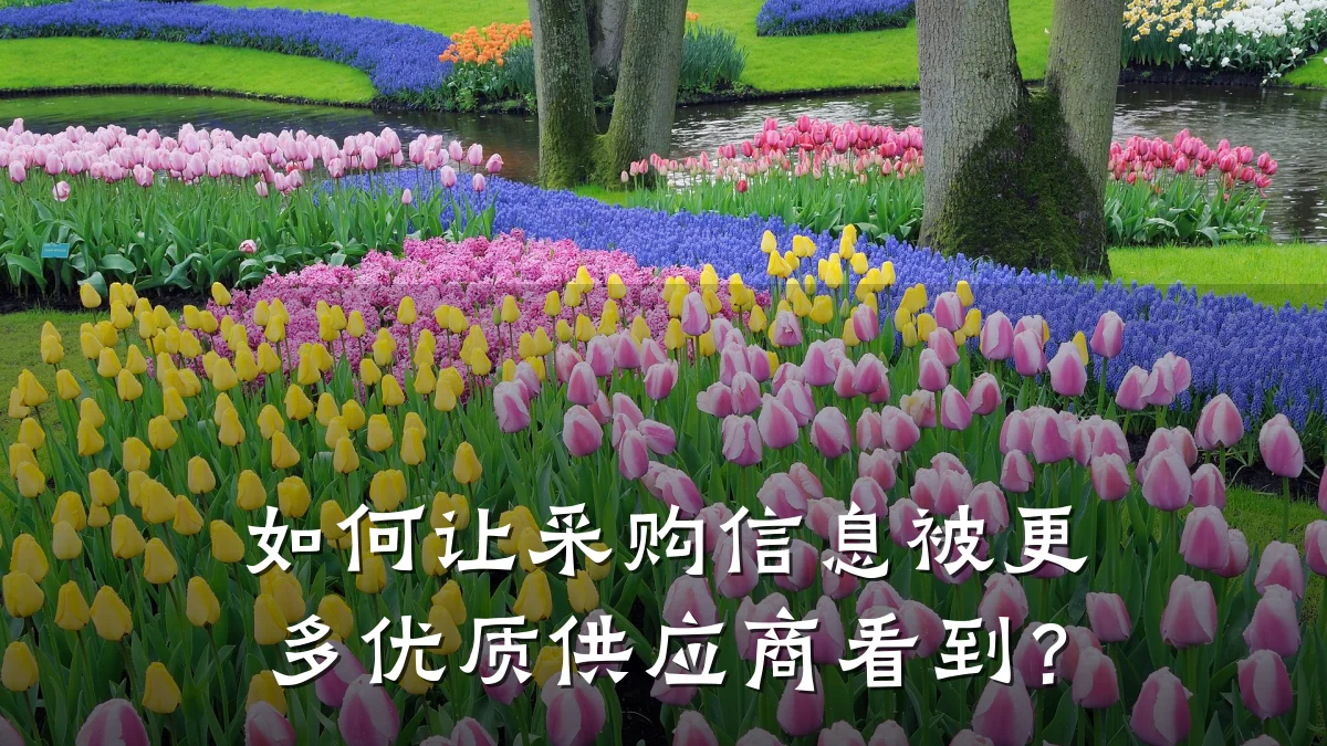 如何让采购信息被更多优质供应商看到？