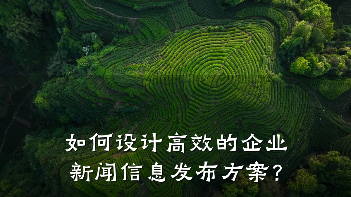如何设计高效的企业新闻信息发布方案？