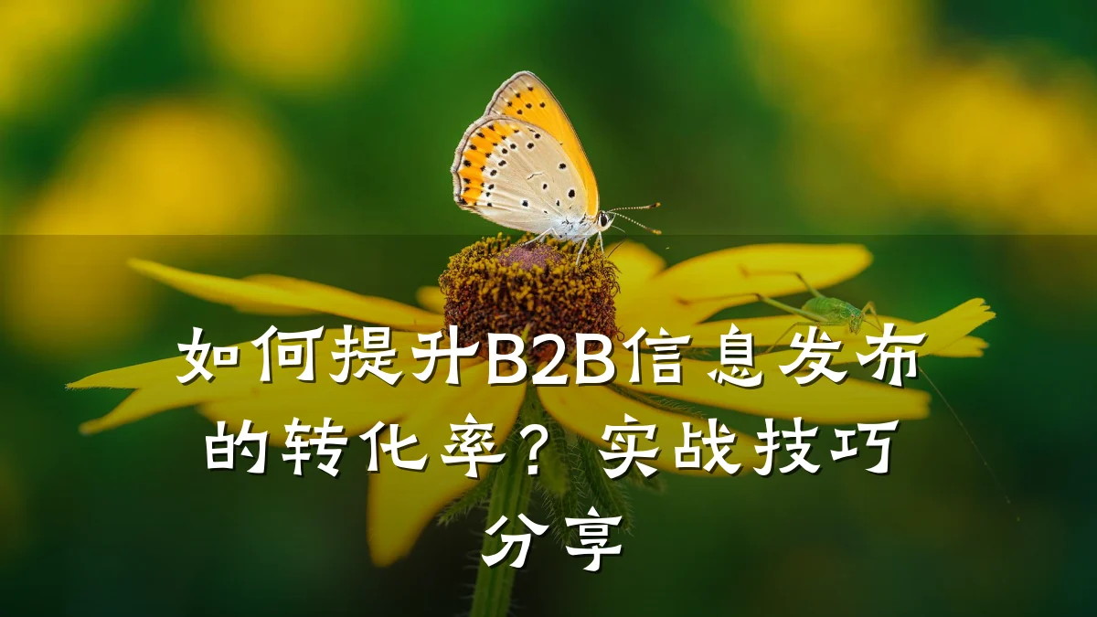 如何提升B2B信息发布的转化率?实战技巧分享