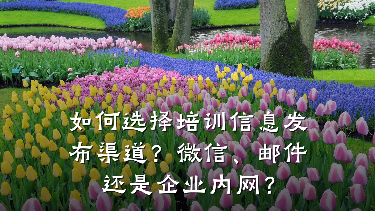 如何选择培训信息发布渠道?微信、邮件还是企业内网?