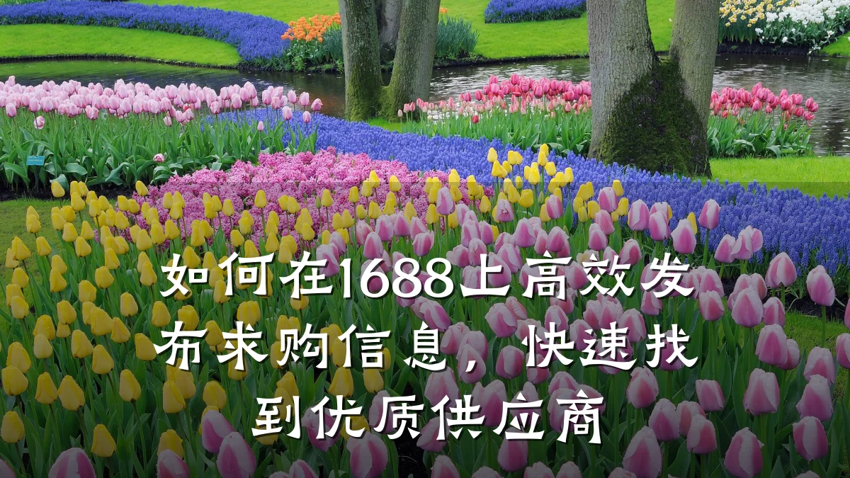 如何在1688上高效发布求购信息，快速找到优质供应商