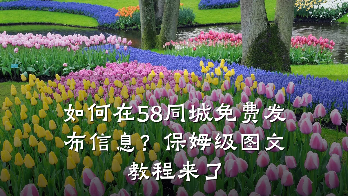 如何在58同城免费发布信息？保姆级图文教程来了