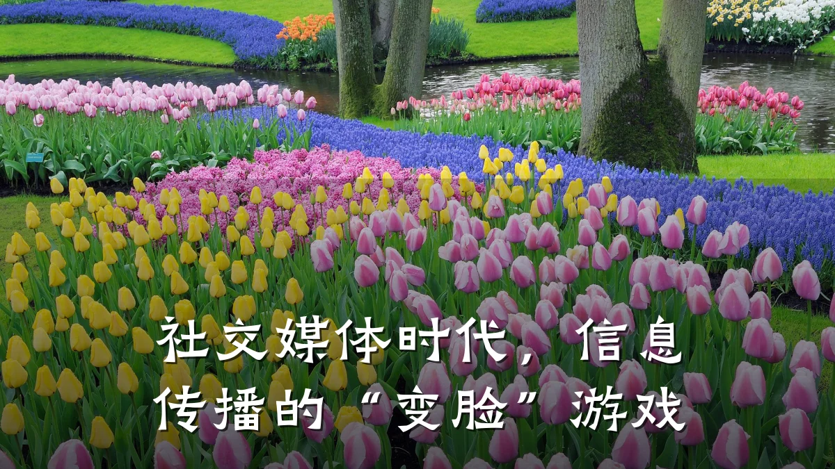 社交媒体时代，信息传播的“变脸”游戏