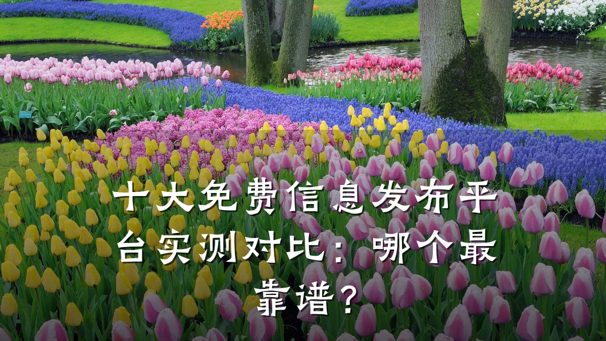 十大免费信息发布平台实测对比：哪个最靠谱？