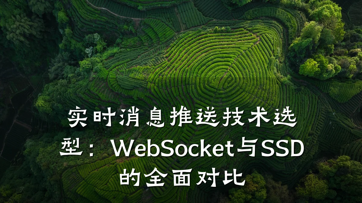 实时消息推送技术选型：WebSocket与SSD的全面对比