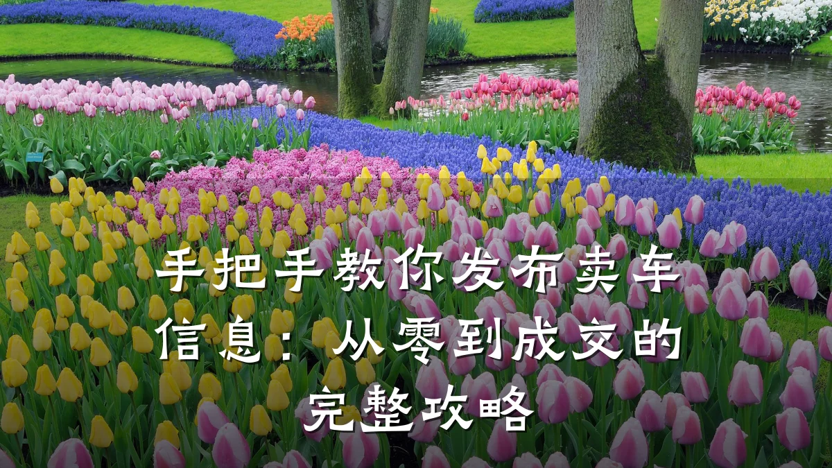 手把手教你发布卖车信息:从零到成交的完整攻略