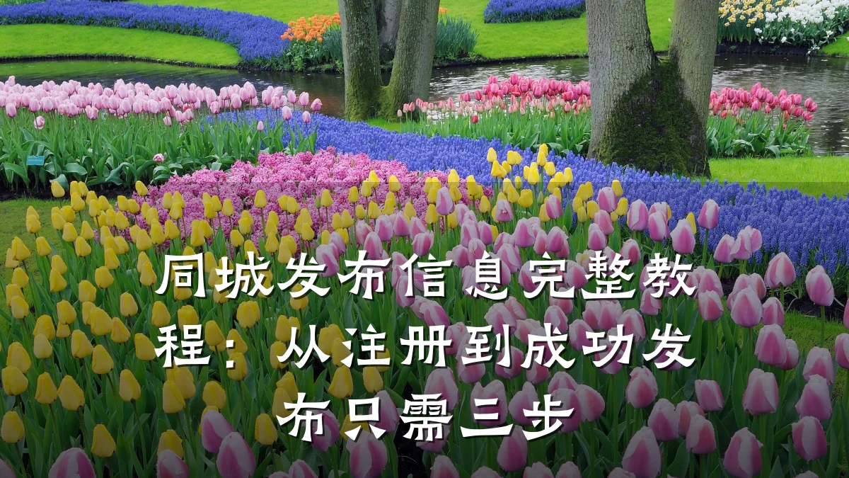 同城发布信息完整教程:从注册到成功发布只需三步