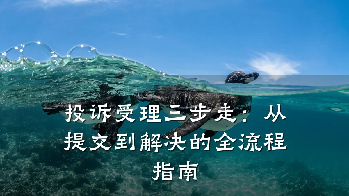 投诉受理三步走:从提交到解决的全流程指南