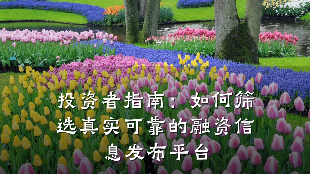 投资者指南：如何筛选真实可靠的融资信息发布平台