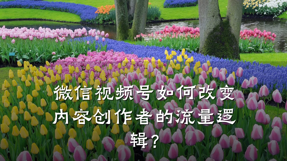 微信视频号如何改变内容创作者的流量逻辑？