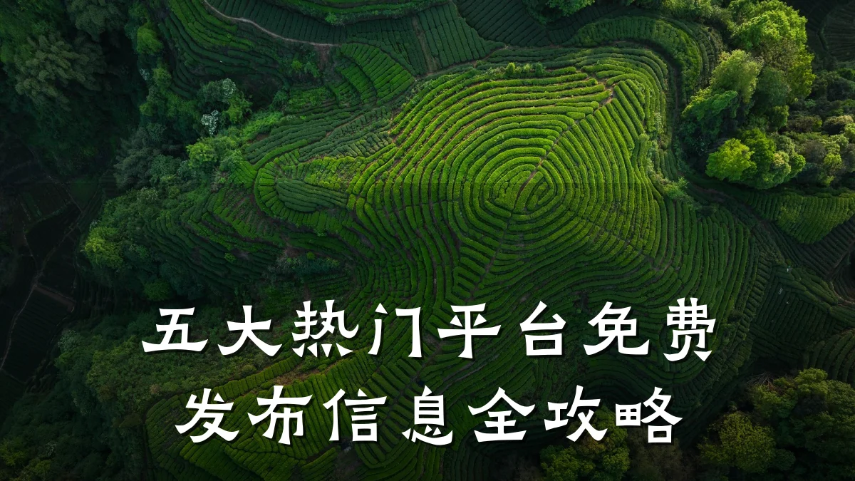 五大热门平台免费发布信息全攻略