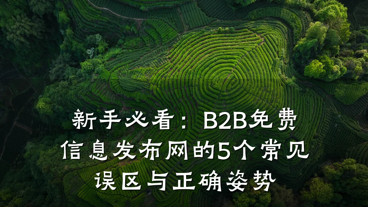 新手必看：B2B免费信息发布网的5个常见误区与正确姿势