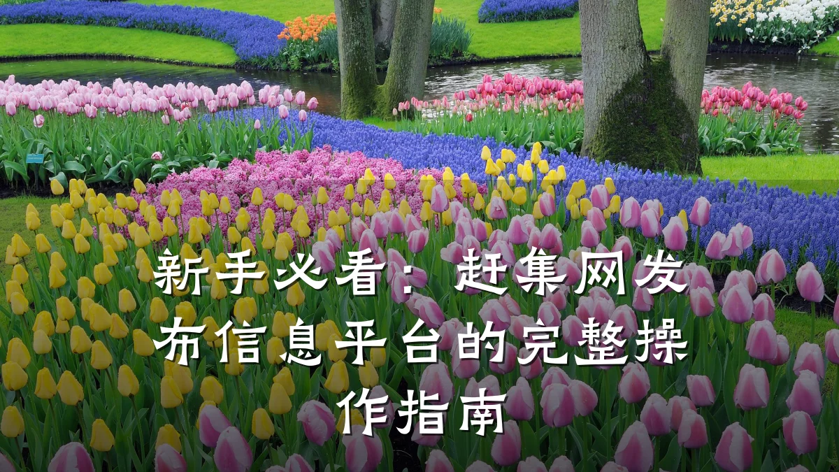 新手必看：赶集网发布信息平台的完整操作指南