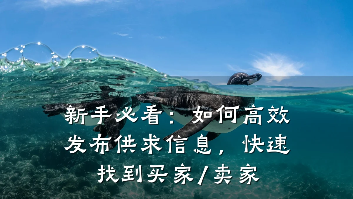 新手必看：如何高效发布供求信息，快速找到买家/卖家
