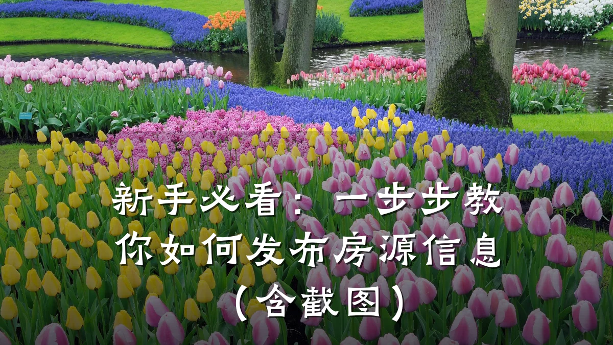 新手必看:一步步教你如何发布房源信息(含截图)