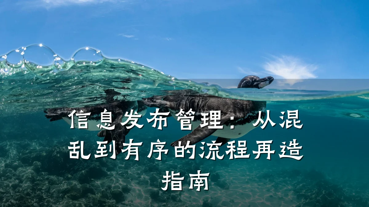 信息发布管理：从混乱到有序的流程再造指南