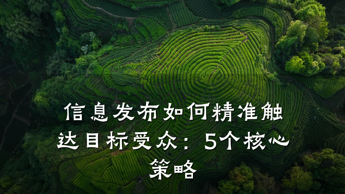信息发布如何精准触达目标受众:5个核心策略