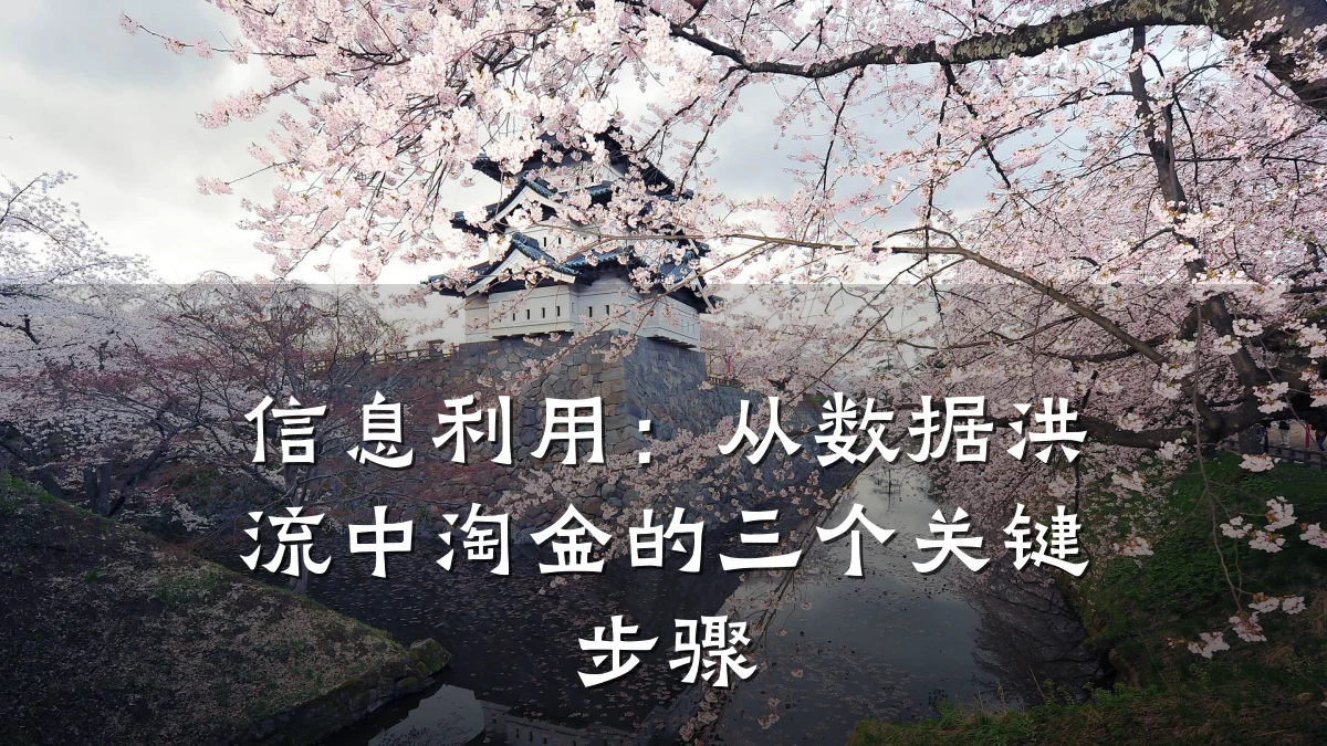 信息利用：从数据洪流中淘金的三个关键步骤