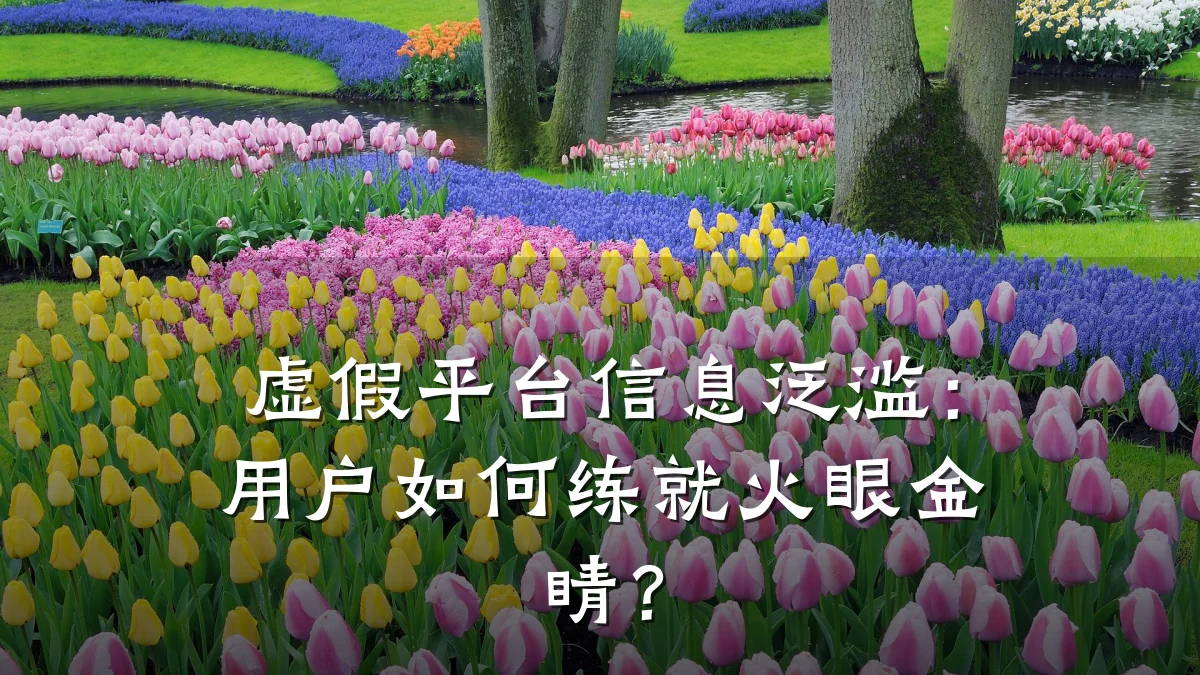 虚假平台信息泛滥：用户如何练就火眼金睛？