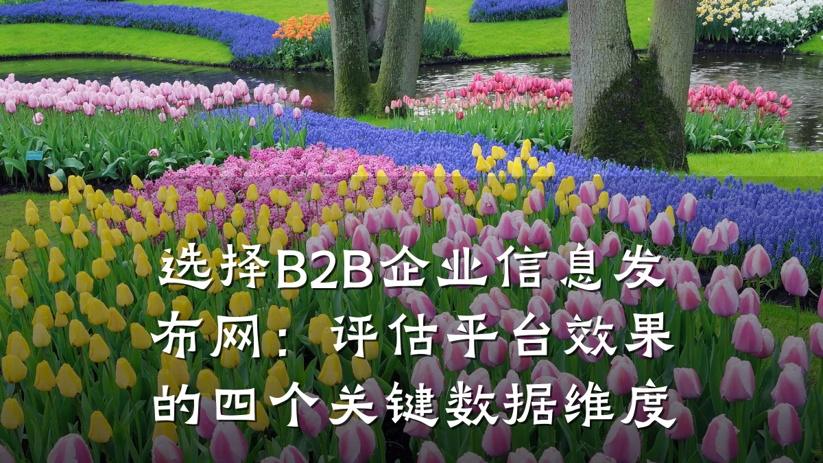 选择B2B企业信息发布网：评估平台效果的四个关键数据维度