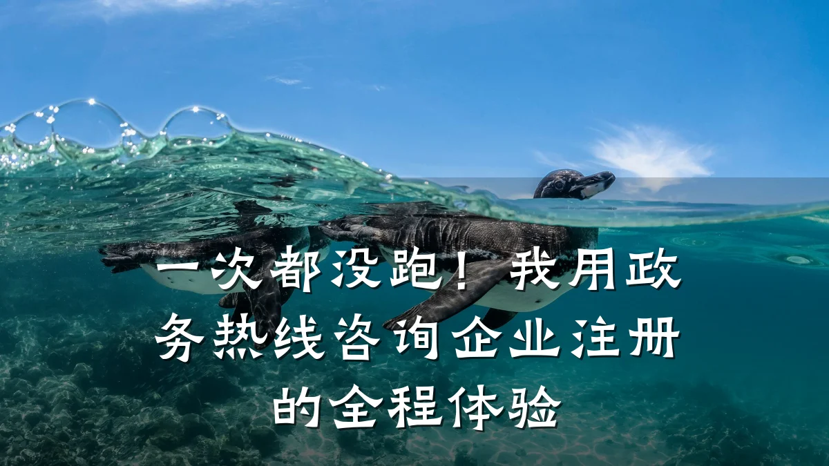 一次都没跑!我用政务热线咨询企业注册的全程体验