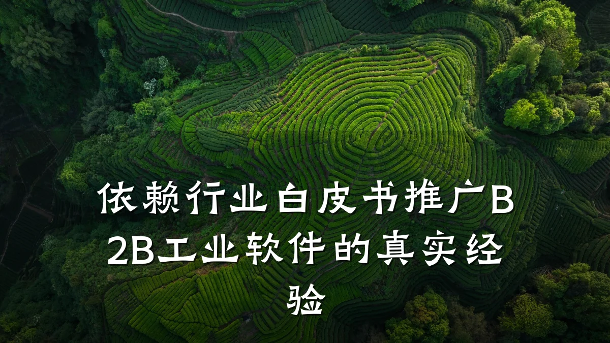 依赖行业白皮书推广B2B工业软件的真实经验