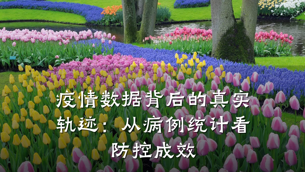 疫情数据背后的真实轨迹：从病例统计看防控成效