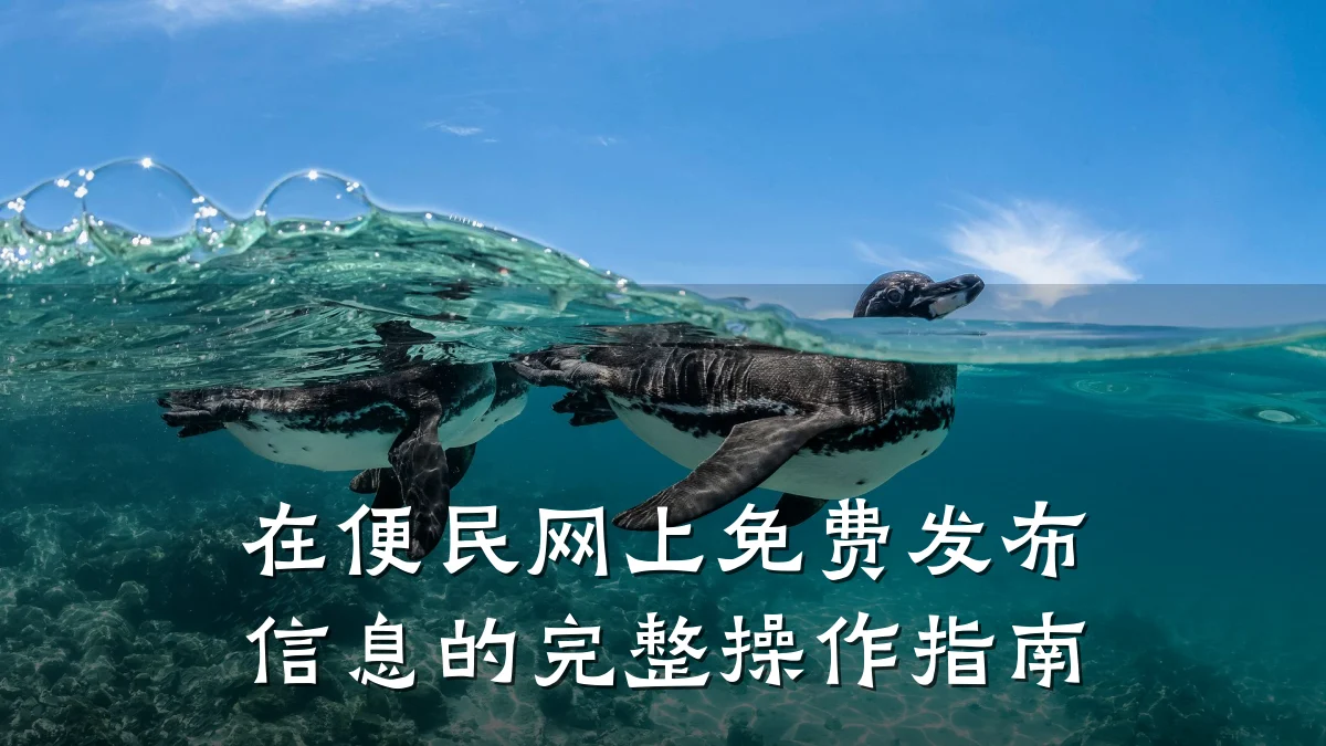 在便民网上免费发布信息的完整操作指南