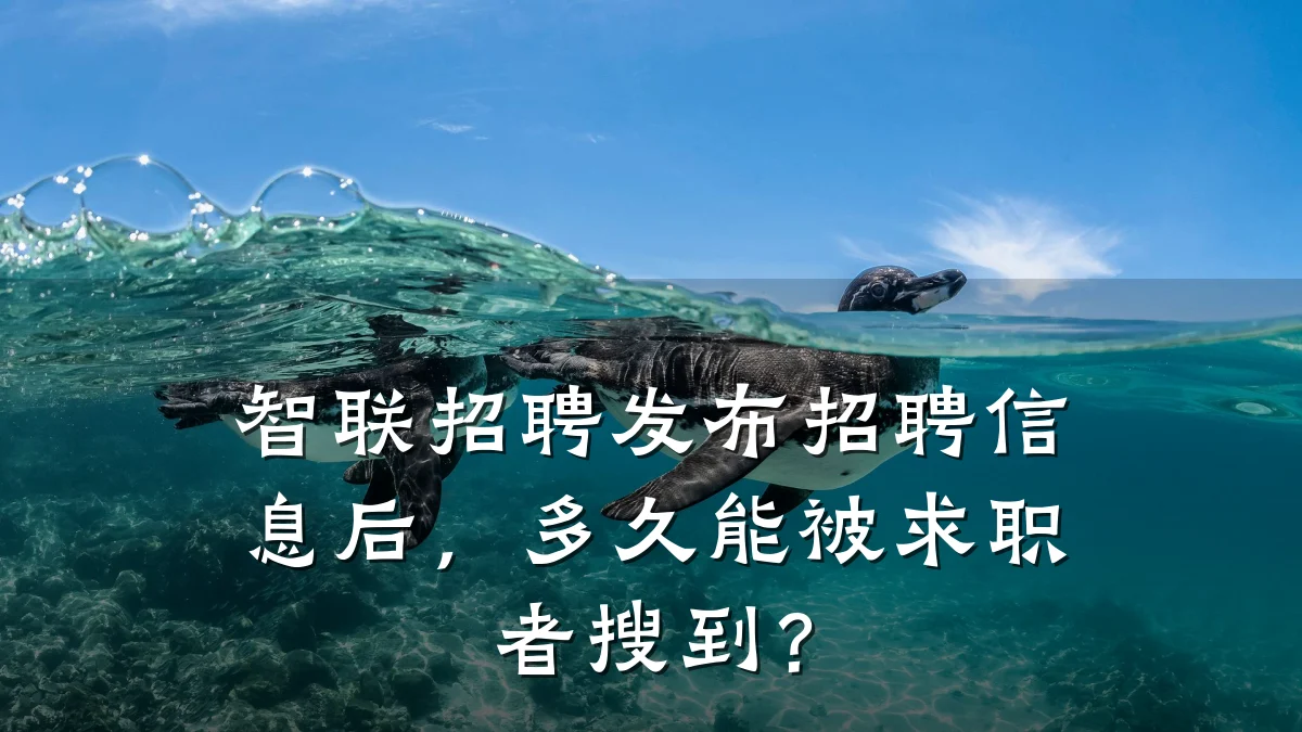 智联招聘发布招聘信息后,多久能被求职者搜到?