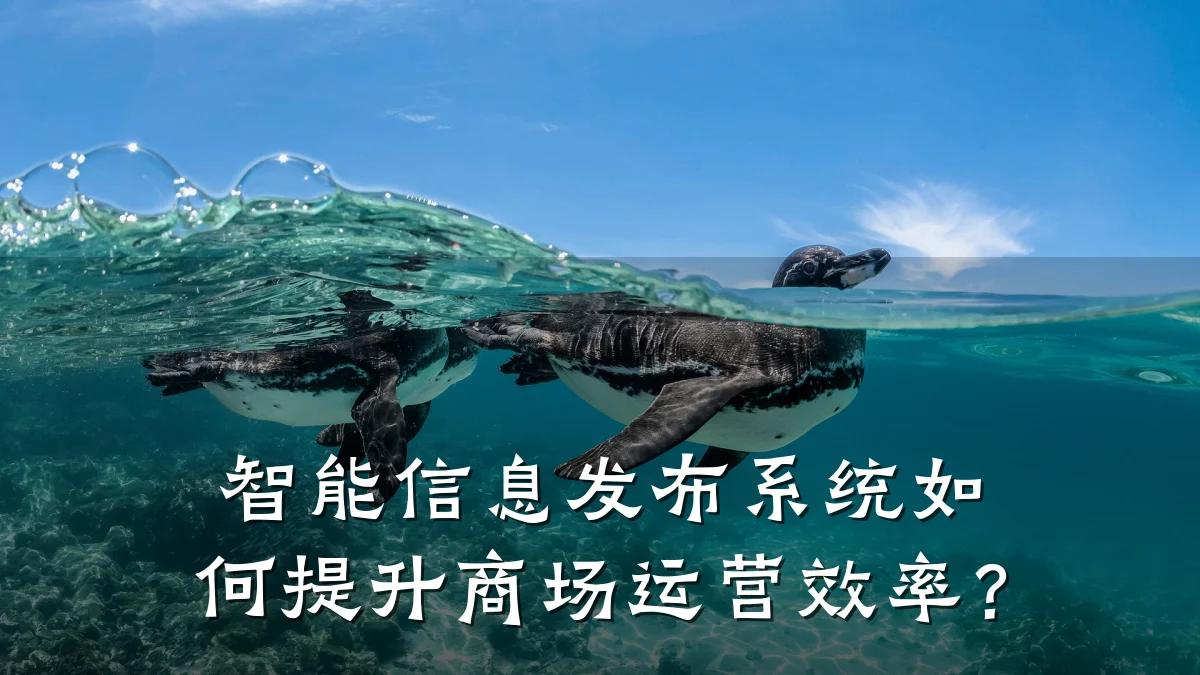 智能信息发布系统如何提升商场运营效率?