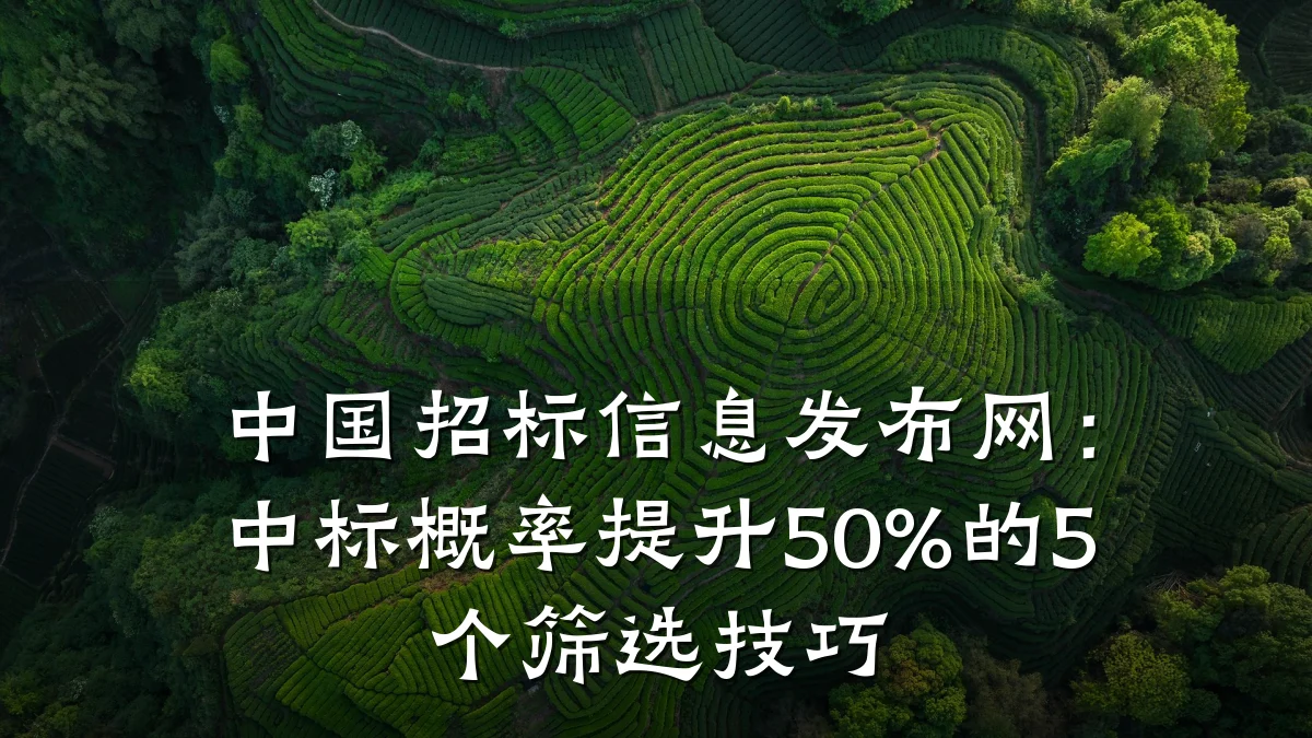 中国招标信息发布网：中标概率提升50%的5个筛选技巧