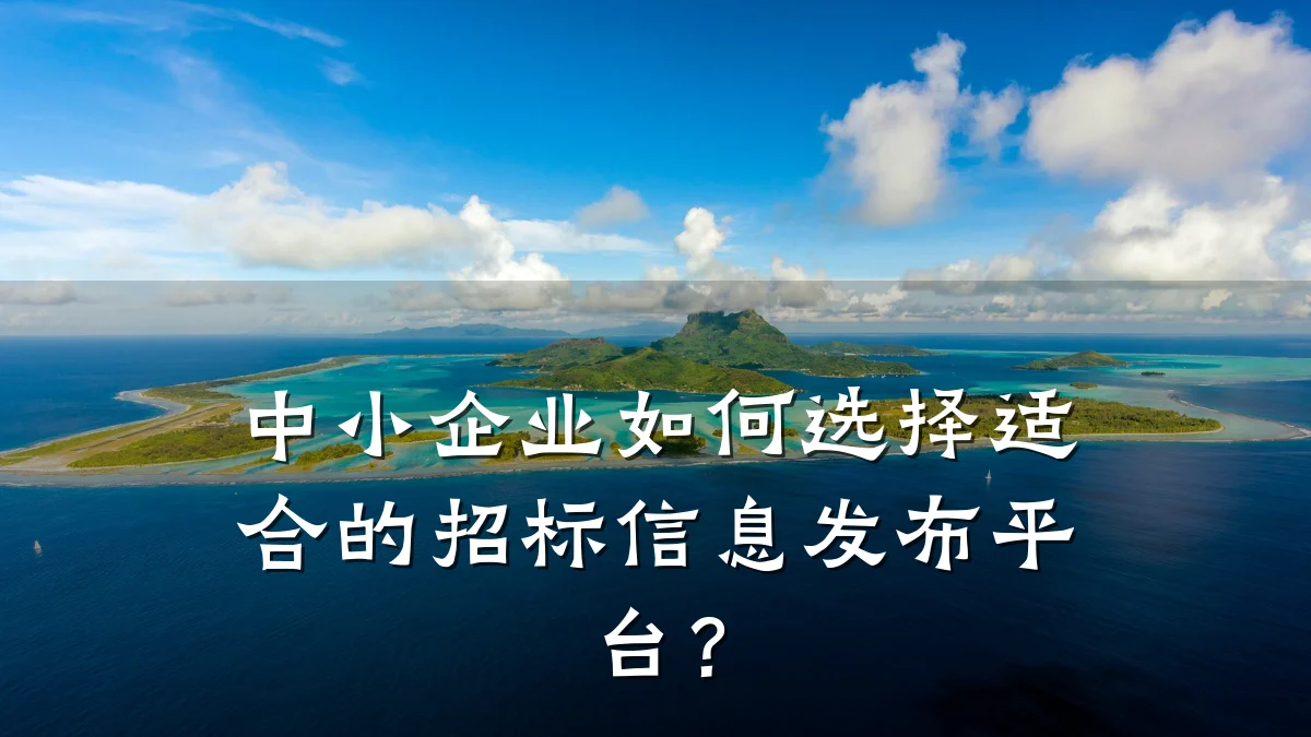 中小企业如何选择适合的招标信息发布平台?