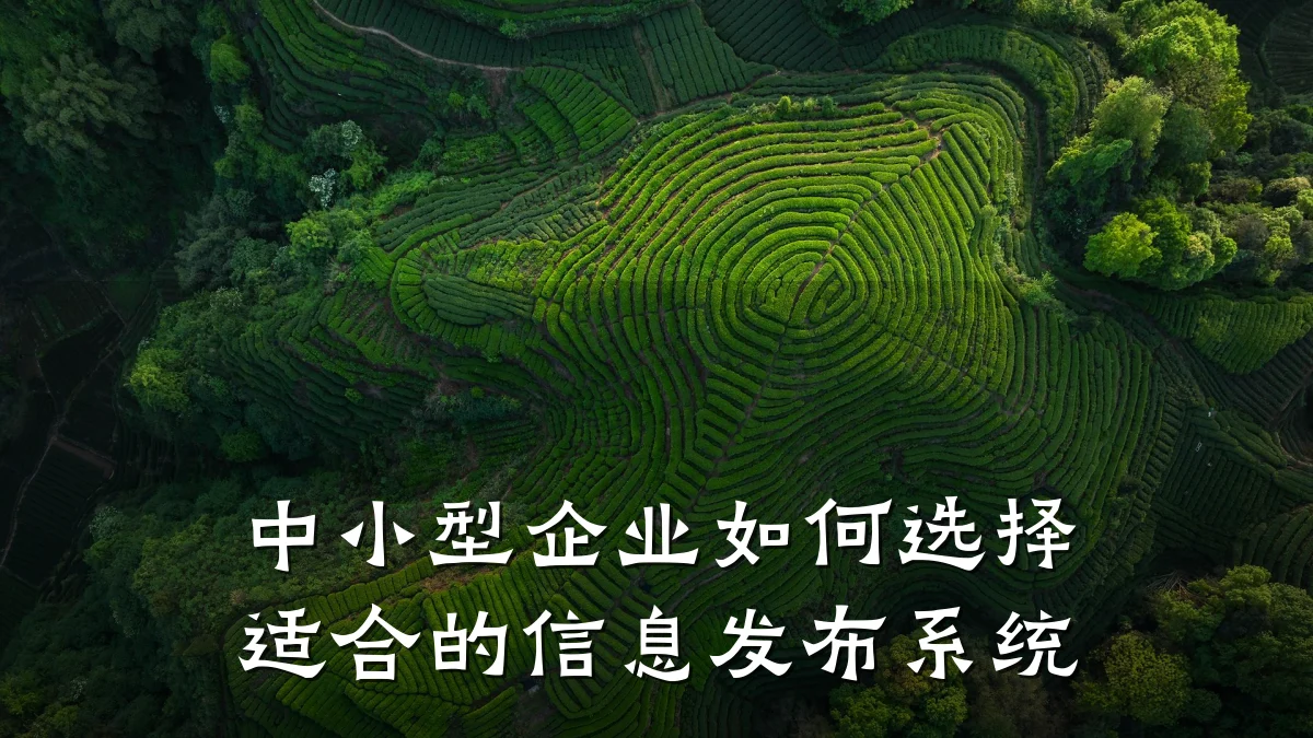 中小型企业如何选择适合的信息发布系统