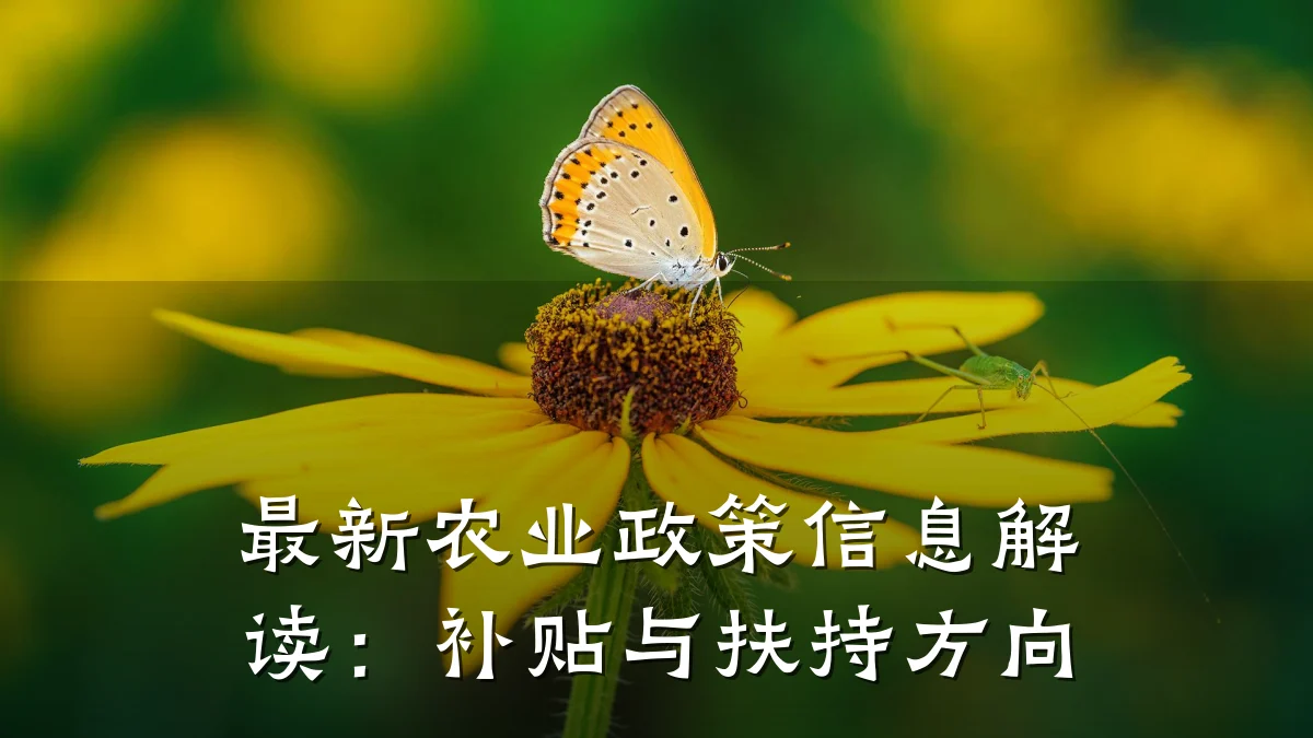 最新农业政策信息解读：补贴与扶持方向
