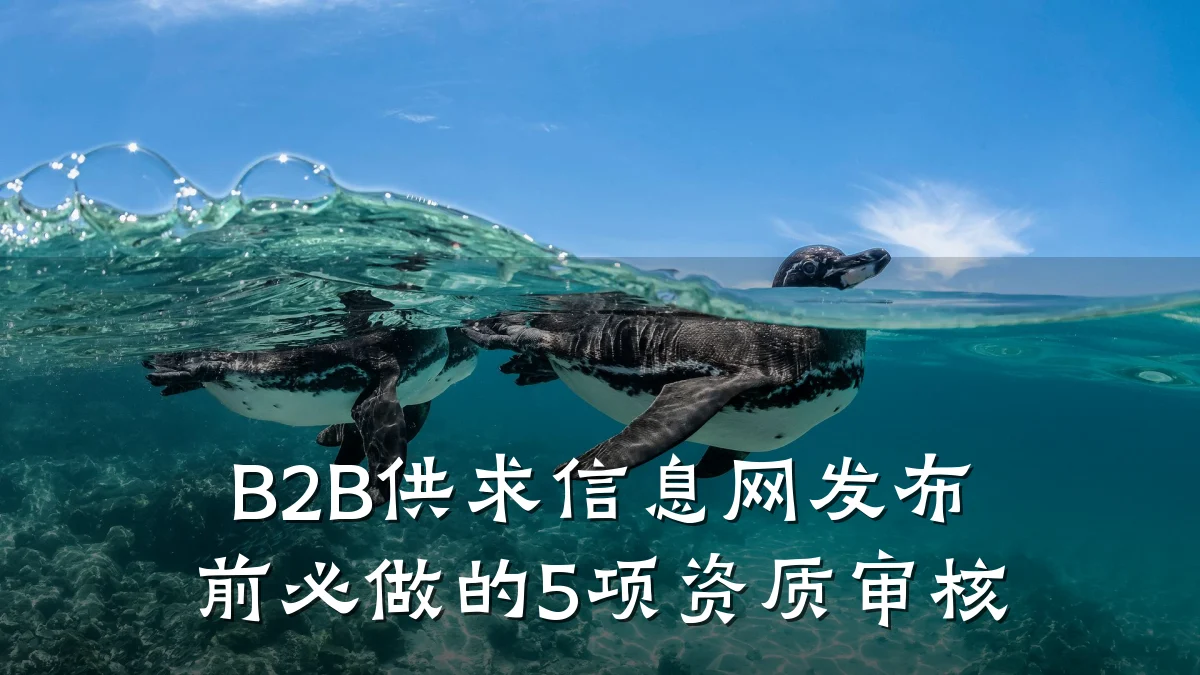 B2B供求信息网发布前必做的5项资质审核