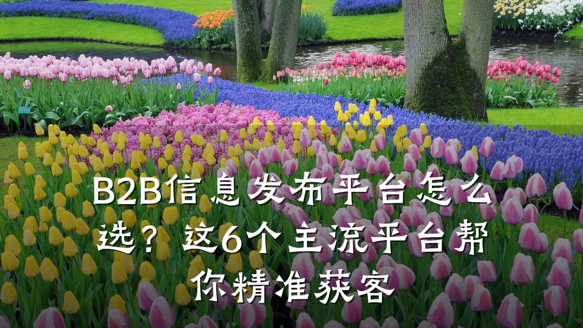 B2B信息发布平台怎么选?这6个主流平台帮你精准获客