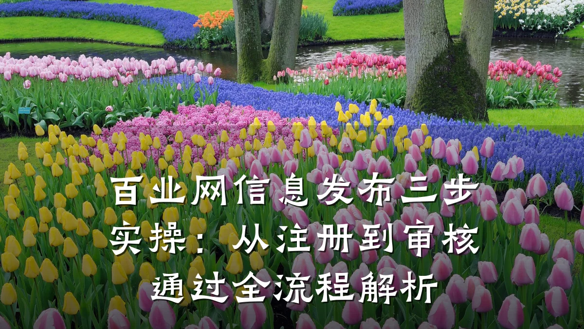 百业网信息发布三步实操:从注册到审核通过全流程解析