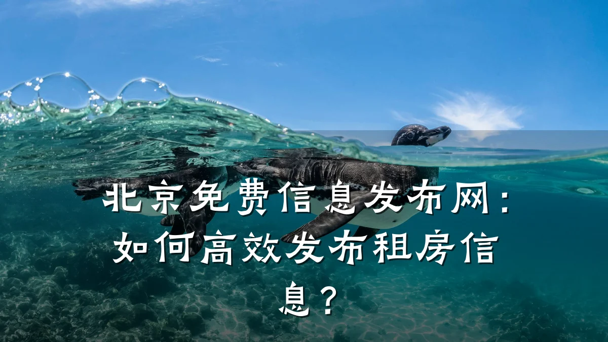 北京免费信息发布网：如何高效发布租房信息？
