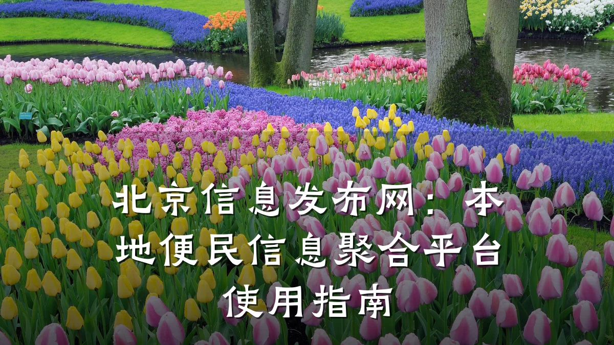北京信息发布网:本地便民信息聚合平台使用指南