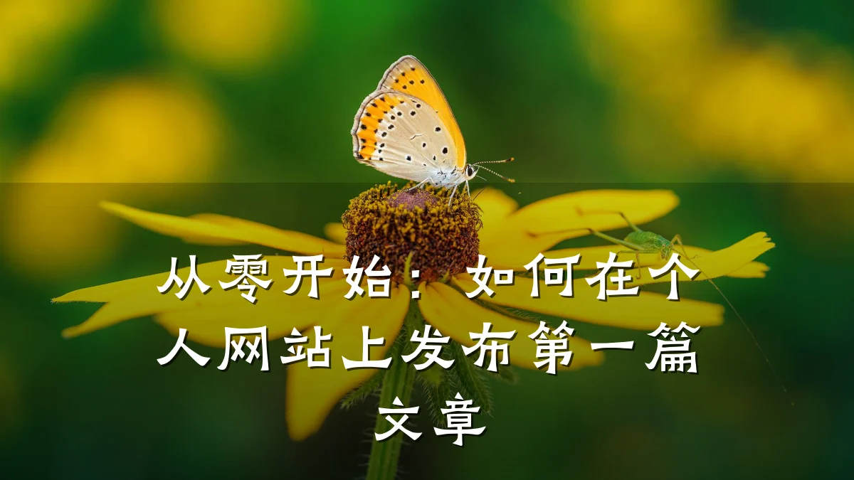 从零开始:如何在个人网站上发布第一篇文章