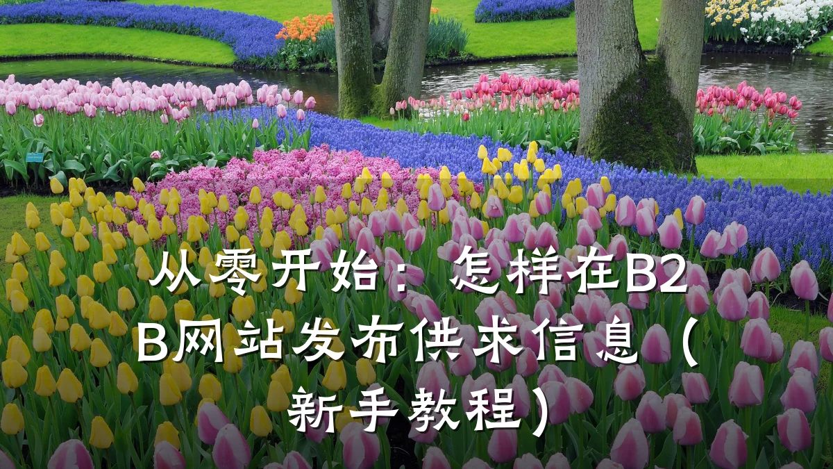 从零开始：怎样在B2B网站发布供求信息（新手教程）