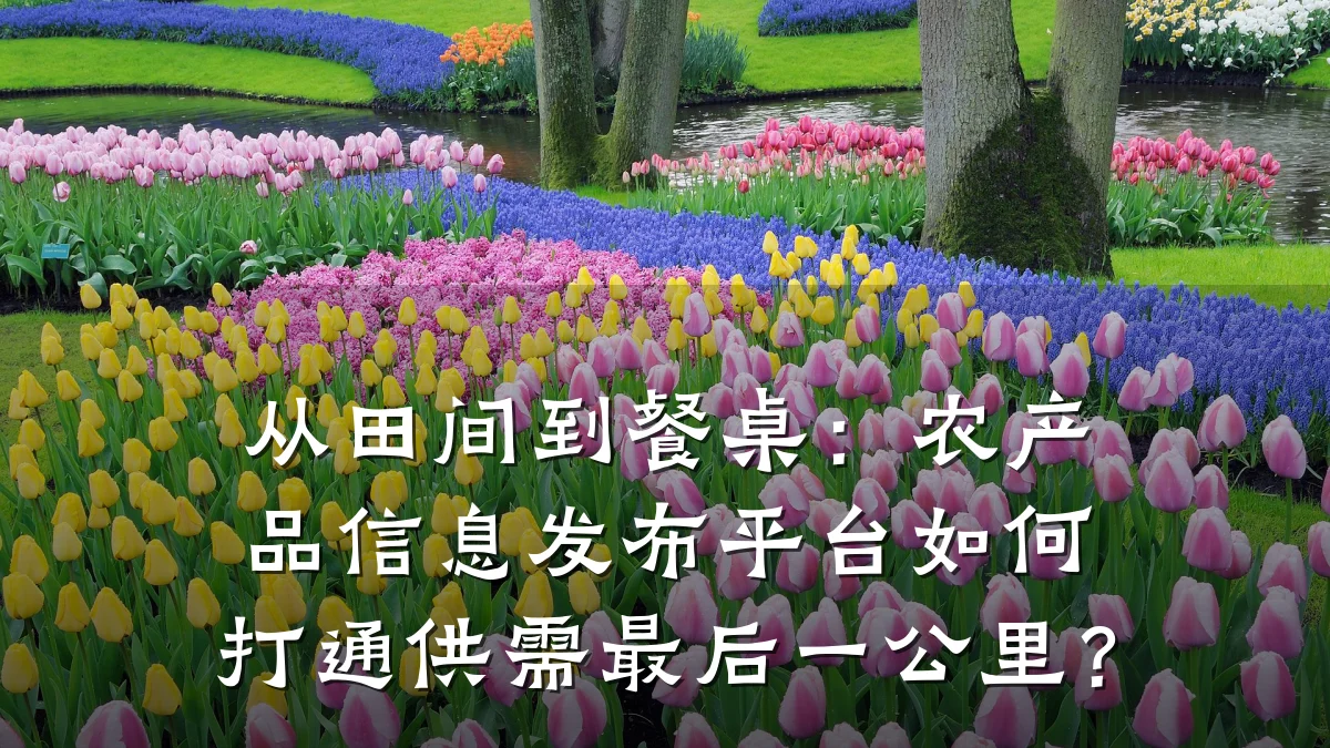 从田间到餐桌:农产品信息发布平台如何打通供需最后一公里?