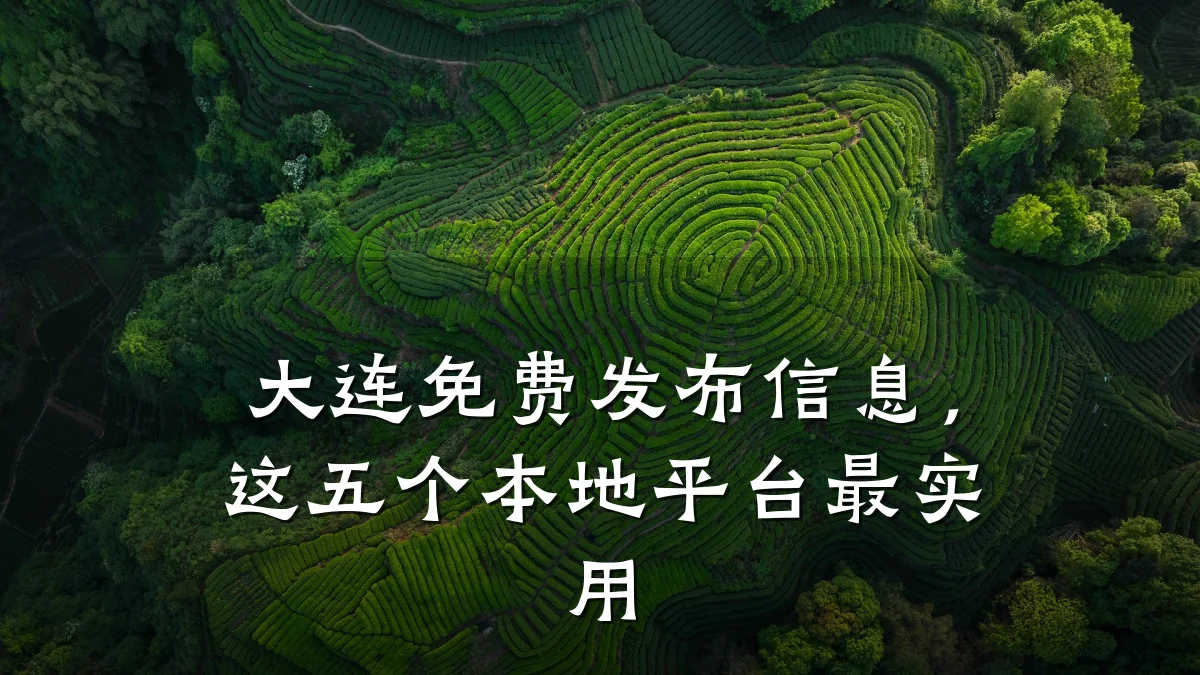 大连免费发布信息,这五个本地平台最实用