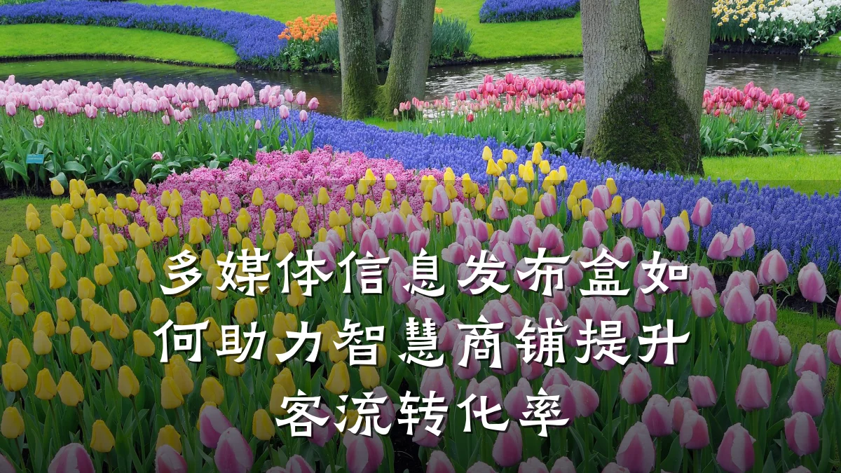 多媒体信息发布盒如何助力智慧商铺提升客流转化率